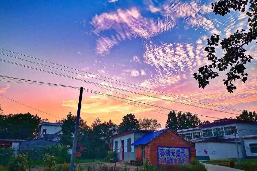 科技赋能甜美果实，潺双科技助力乡村振兴。