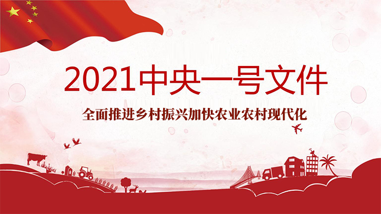 [2021年中央一号文件]中共中央　国务院关于全面推进乡村振兴加快农业农村现代化的意见