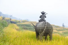 “三农”的出路在于实行集体经济发展方式