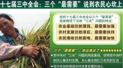 稳定增加涉农补贴规模