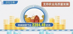 推进乡村振兴补助资金