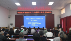 发挥技术优势 注入科技动能