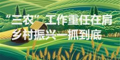 有法可依，让乡村振兴道路更开阔