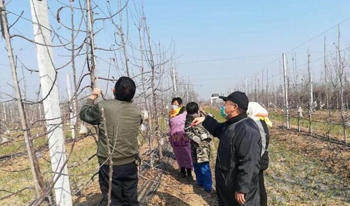 不忘初心抗疫情 助力农业生产 菏泽市科技特派员