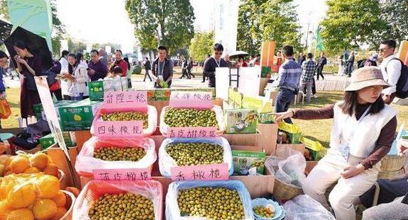 现代农业不“靠天吃饭”靠科技增收