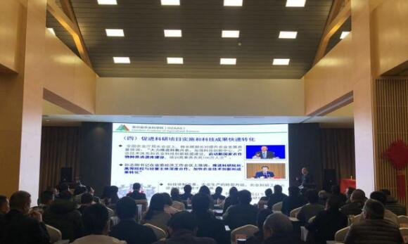 农业科技人才“抱团作战” 让农业插上科技的翅